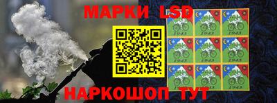 шишки Будённовск