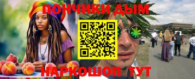 шишки Будённовск