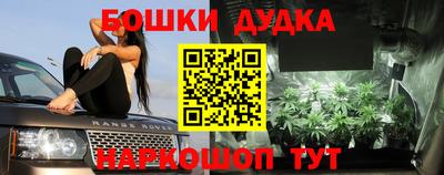 шишки Будённовск