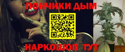 шишки Будённовск